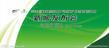 广告设计全攻略 从策划到图片素材的完整指南